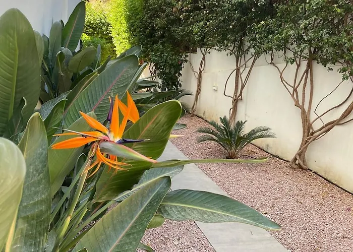 Private Garden Retreat With Pool, Walk To Appartement Nerja